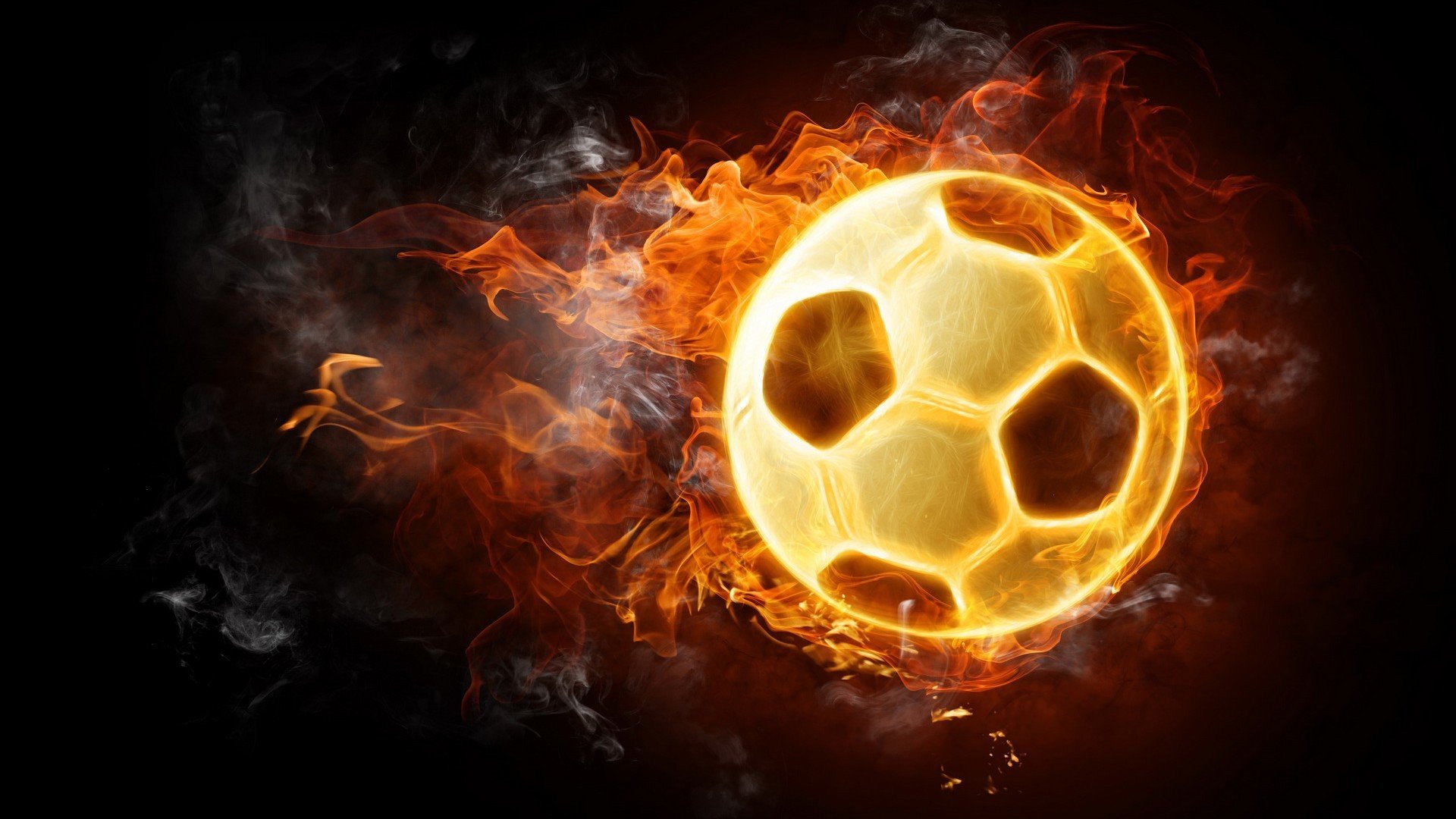 伊朗马术协会推出马术运动员健康管理系统，关注运动员身心健康。